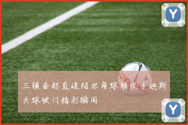 三镇奋起直追绍尔角球助攻卡迪斯头球破门精彩瞬间